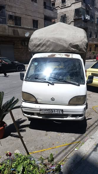 شانا قطة 2006 - صورة 4