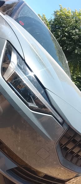 بولستر 2 2024 - صورة 4