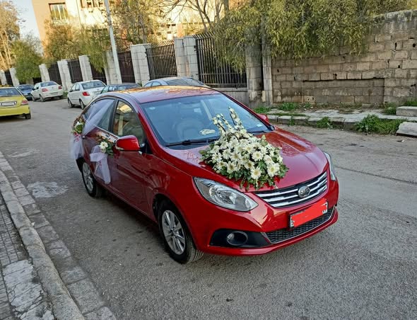 جاك J4 2018 - صورة 3
