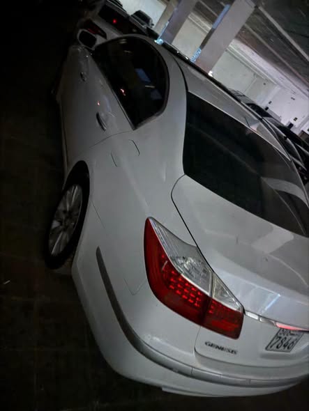 جنسس جنسس 2011 - صورة 2