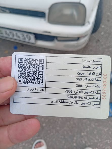 بيرودا كانسيل 2001 - صورة 1