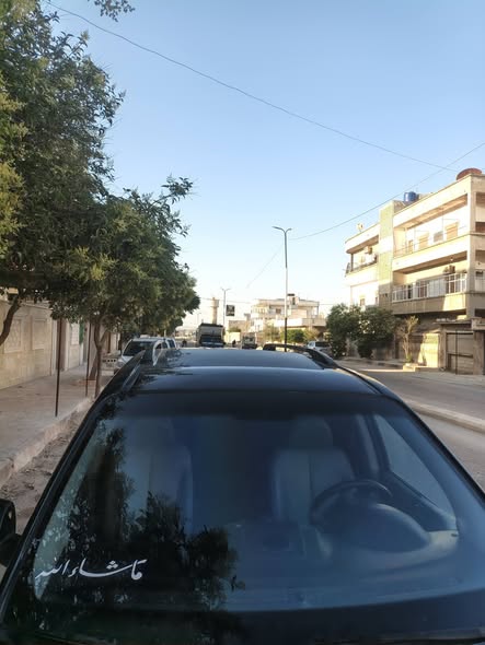 كيا كرنفال 2010 - صورة 3