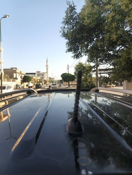كيا كرنفال 2010 - صورة 5