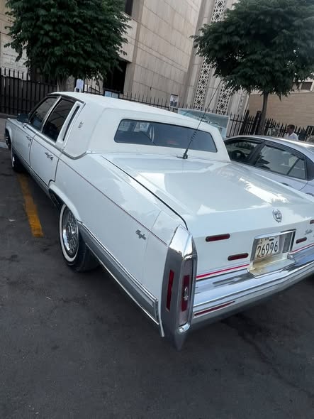 كاديلاك إسكاليد 1983 - صورة 3
