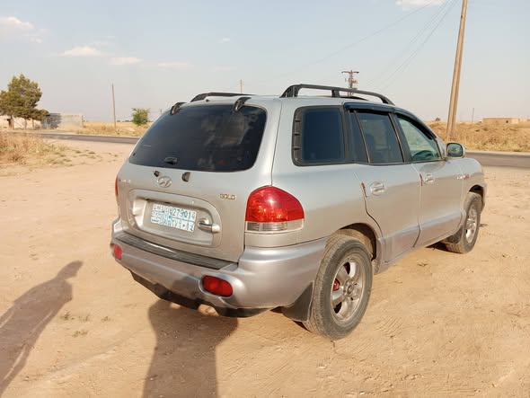 هيونداي سنتافية 2004 - صورة 2