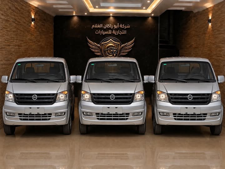 دي إف إس كيه بيك أب 2026