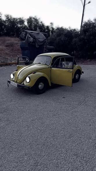 فولكس فاجن بيتل 1954 - صورة 2