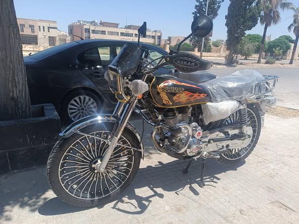 اسكار سيجي هوند 2026 - صورة 2