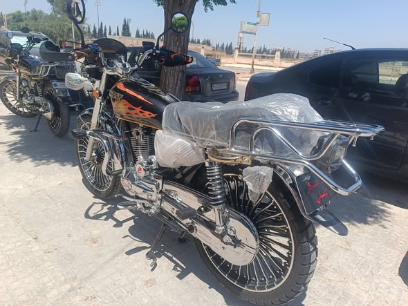 اسكار سيجي هوند 2026 - صورة 3