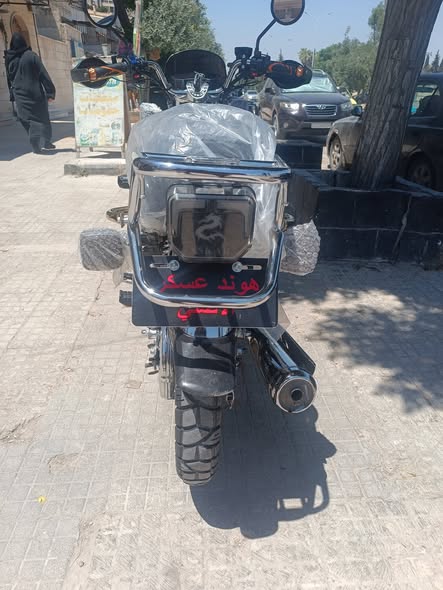 اسكار سيجي هوند 2026 - صورة 4
