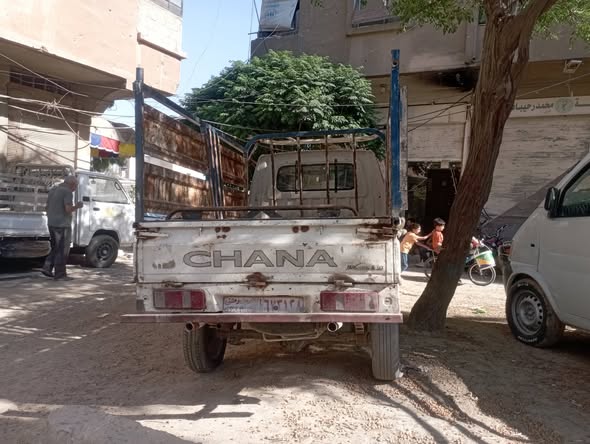 شانا ستار 2006 - صورة 5