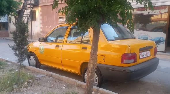 سايبا سابا 2020 - صورة 2