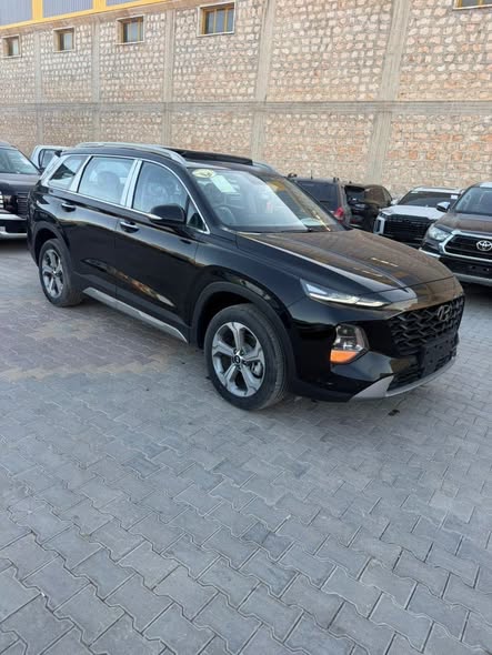 هيونداي سانتا في 2023 - صورة 2