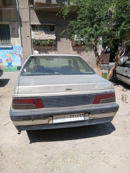 بيجو روى 2005 - صورة 2