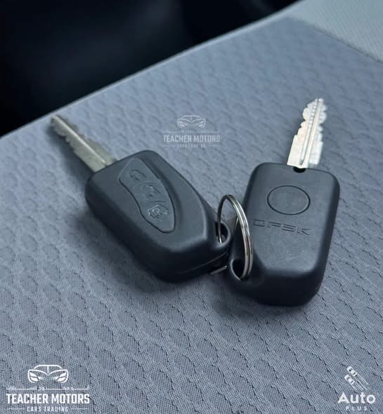 دي اف اس كيه K01S 2025 - صورة 5