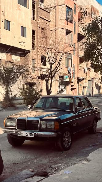 مرسيدس 230 E 1977 - صورة 5