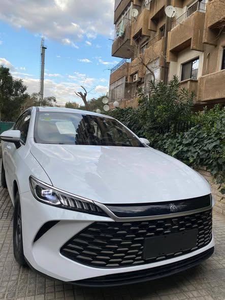 بي واي دي شن بلاس 2026 - صورة 2