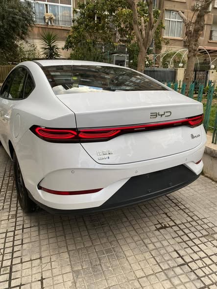 بي واي دي شن بلاس 2026 - صورة 4