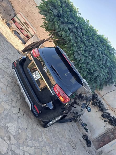 كيا كرنفال 2019 - صورة 2