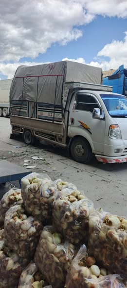كيا 4000 2007 - صورة 1