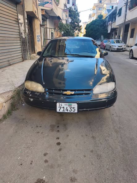 شفر لومينا 1996 - صورة 1