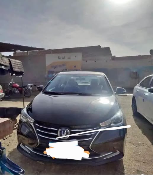 شنجان ايدو بلاس 2022 - صورة 2