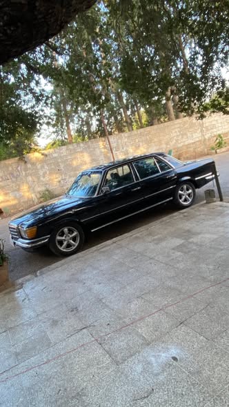 مرسيدس 280 1978 - صورة 3