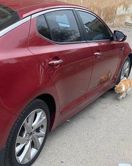 كيا اوبتما 2015 - صورة 3