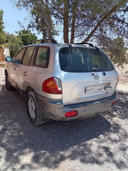 هيونداي سنتافي 2004 - صورة 4