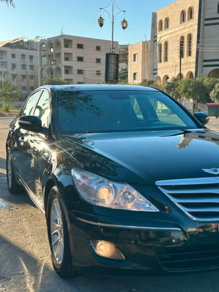 جينسيس جينسيس 2009 - صورة 2