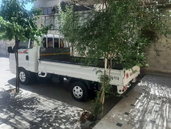 كيا K2700 2009 - صورة 1