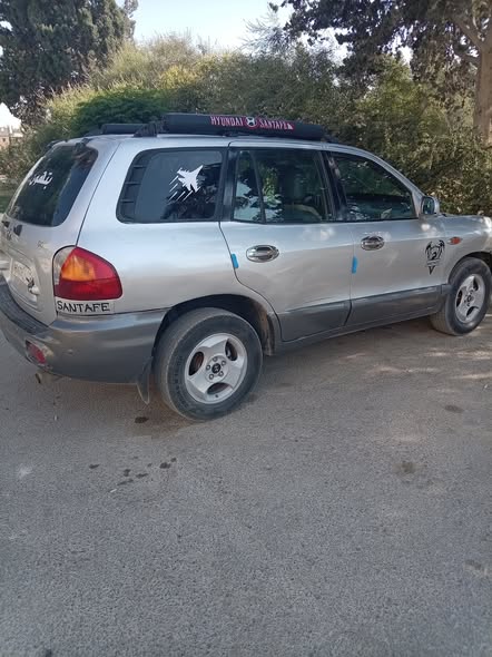 هيونداي سنتافي 2004 - صورة 5