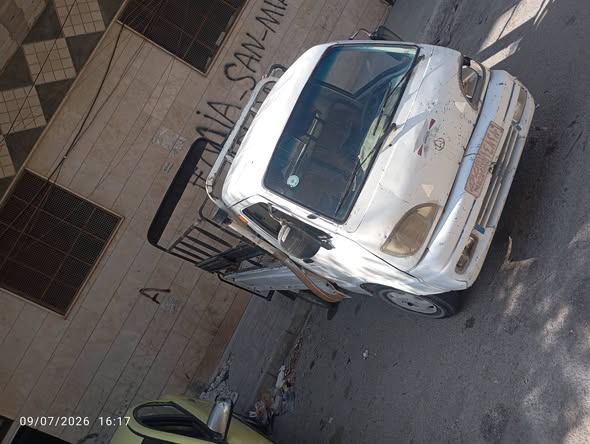 شانا قطة 2005 - صورة 2