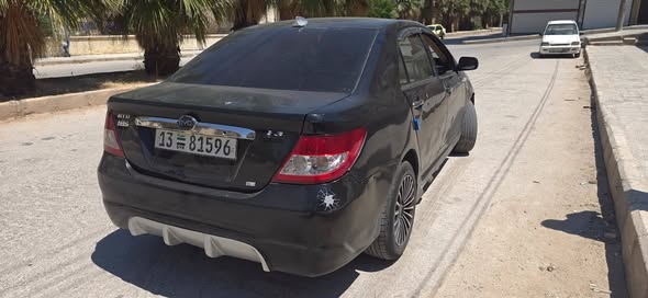 بي واي دي F3 2008 - صورة 2