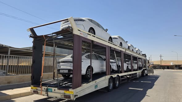 بي واي دي ديستروير 2025 - صورة 2