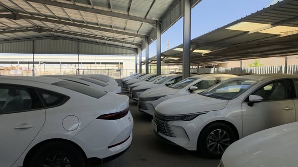 بي واي دي ديستروير 2025 - صورة 5