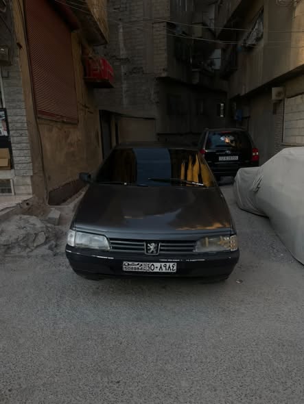 بيجو روى 2008 - صورة 1