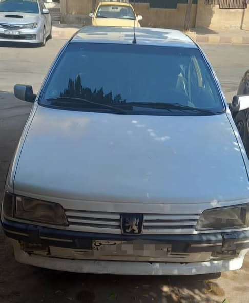 بيجو 405 1993 - صورة 1