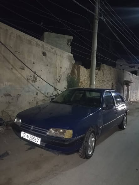 ميتسوبيشي لانسر 1993 - صورة 2