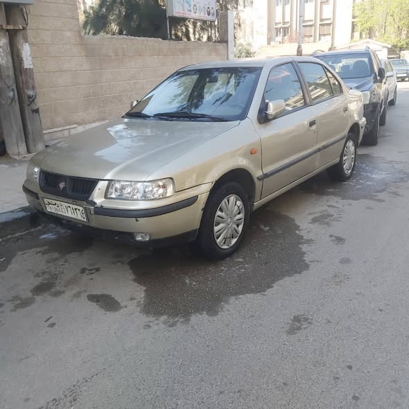 شام شام 2008 - صورة 3