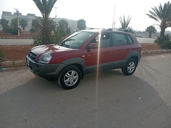 هيونداي توسان 2008 - صورة 1