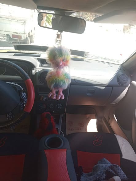 سايبا سابا 2020 - صورة 2
