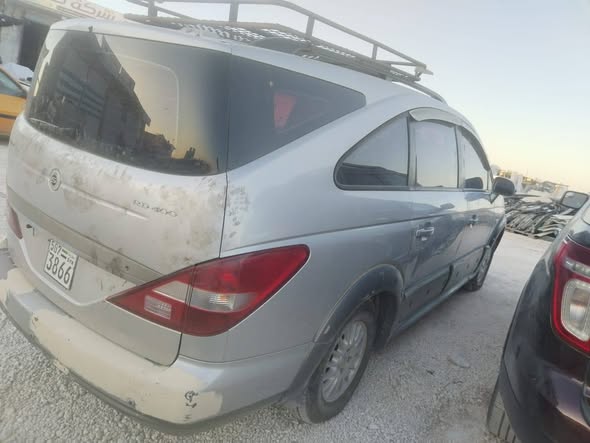 سانج يونج ستافيك 2006 - صورة 2
