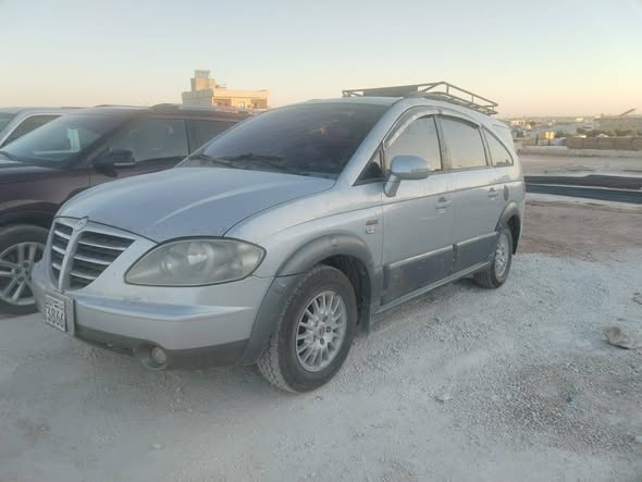 سانج يونج ستافيك 2006 - صورة 3