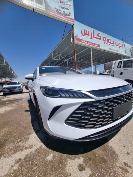 بي واي دي كين بلس 2025 - صورة 2