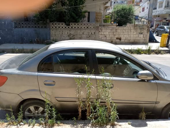 كيا ريو 2011 - صورة 1