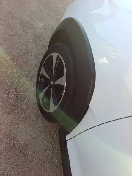 شيري تيغو 2020 - صورة 2