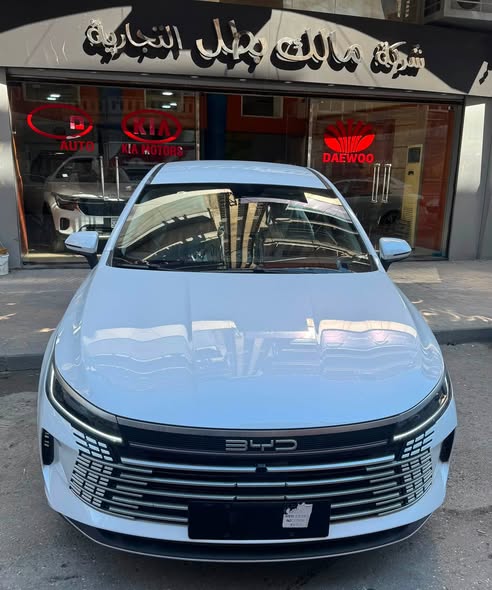 بي واي دي ديستروير 2025 - صورة 1