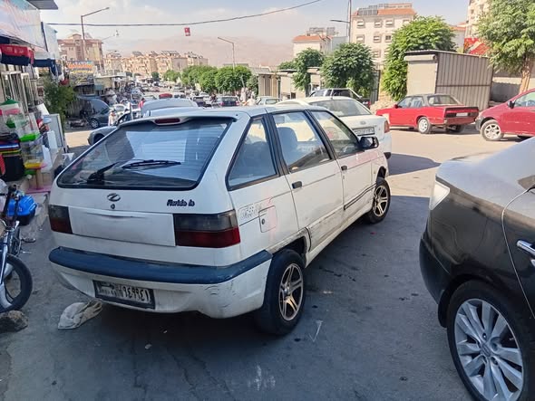 شيري فلوريدا 2005 - صورة 2