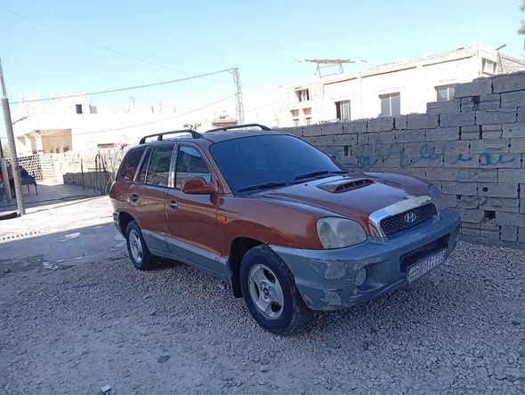 هيونداي سانتا في 2001 - صورة 5
